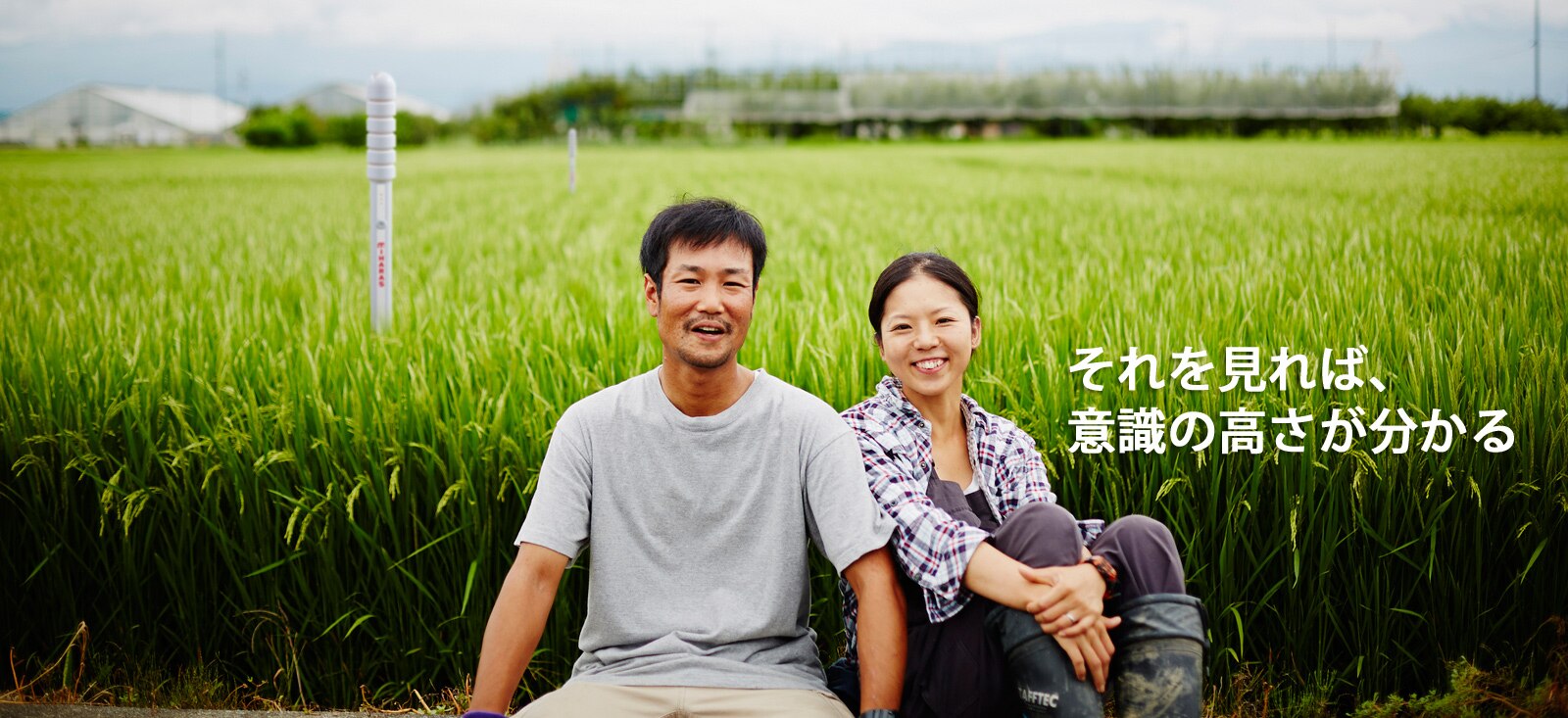 農業向けITセンサー MIHARAS(ミハラス)|ニシム電子工業株式会社 農業向けITセンサー MIHARAS(ミハラス)|ニシム電子工業株式会社
