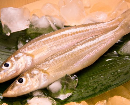 catch-img