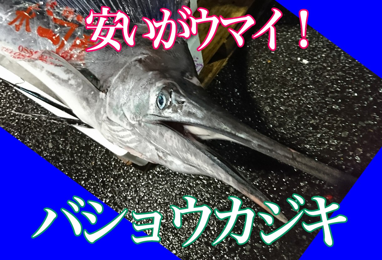 バショウカジキ 芭蕉カジキ のクセのない淡白な味に適した料理をご紹介