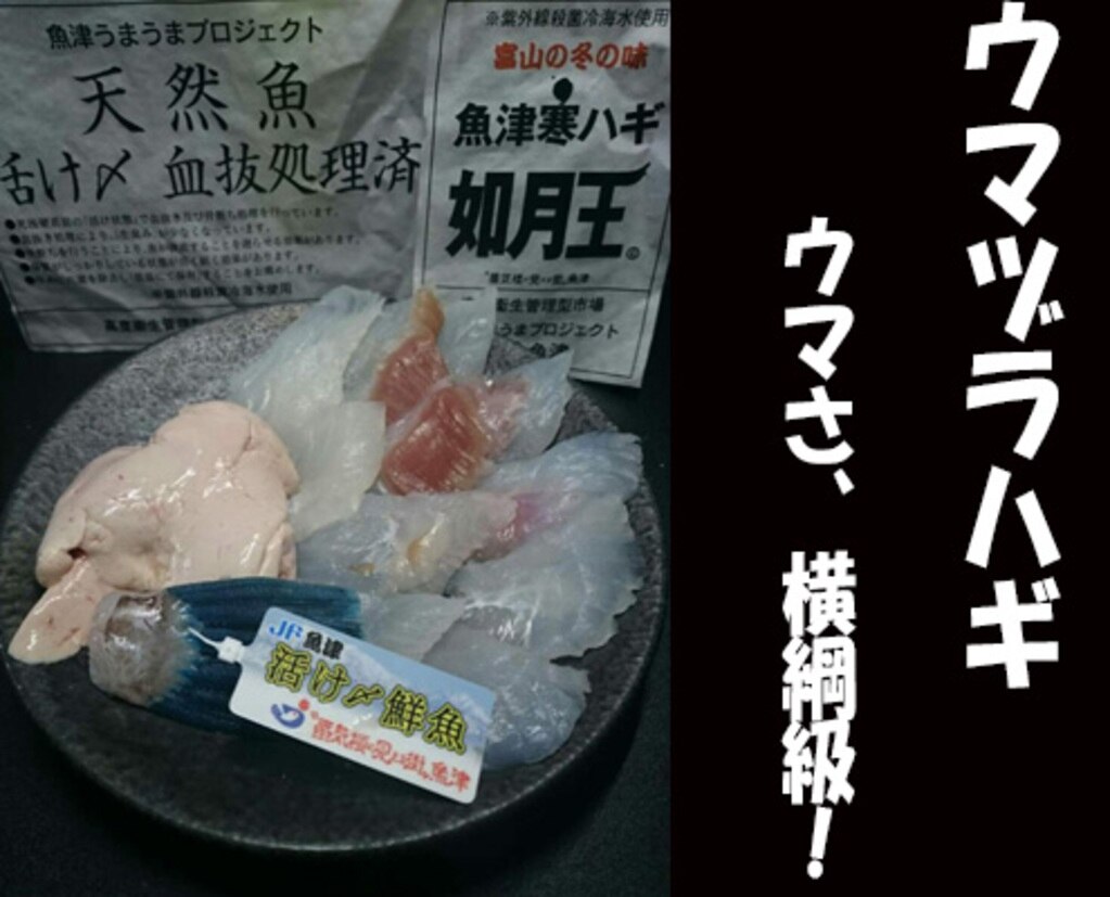 ウマヅラハギは冬の定番 鍋も煮付けも旨い 濃厚な肝と共に 東京すしアカデミー 寿司職人養成学校