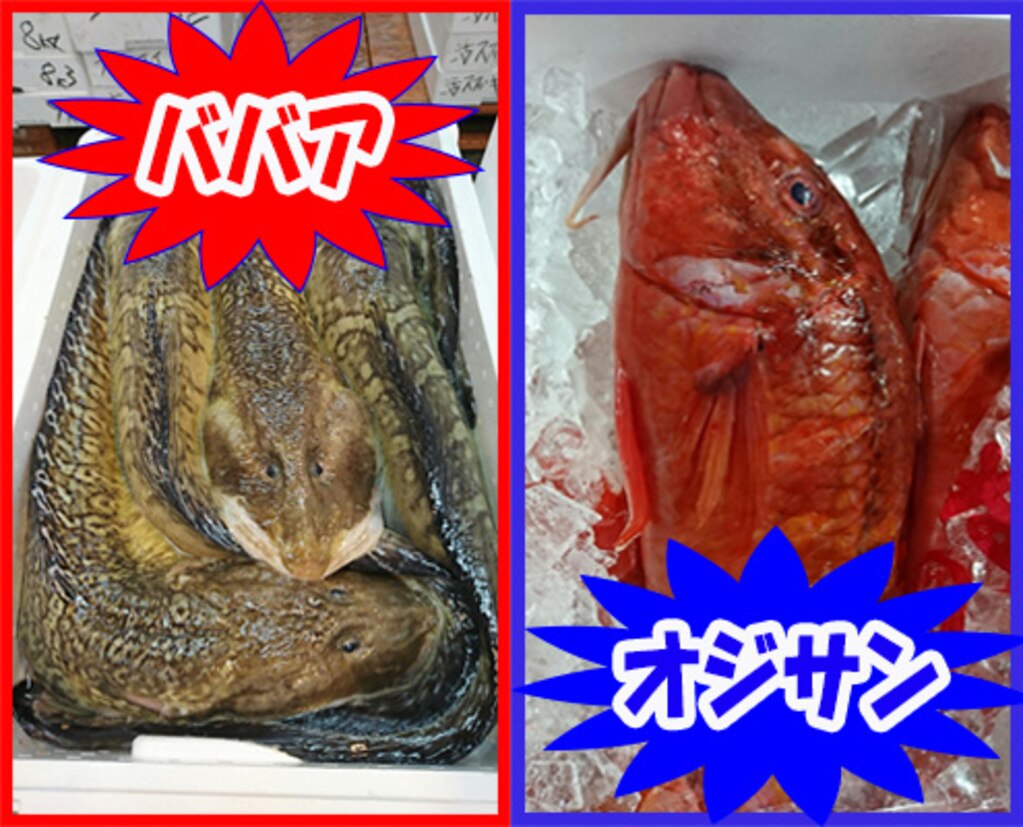 幻の魚ババア タナカゲンゲ とオジサン オキナヒメジ の美味しい食べ方