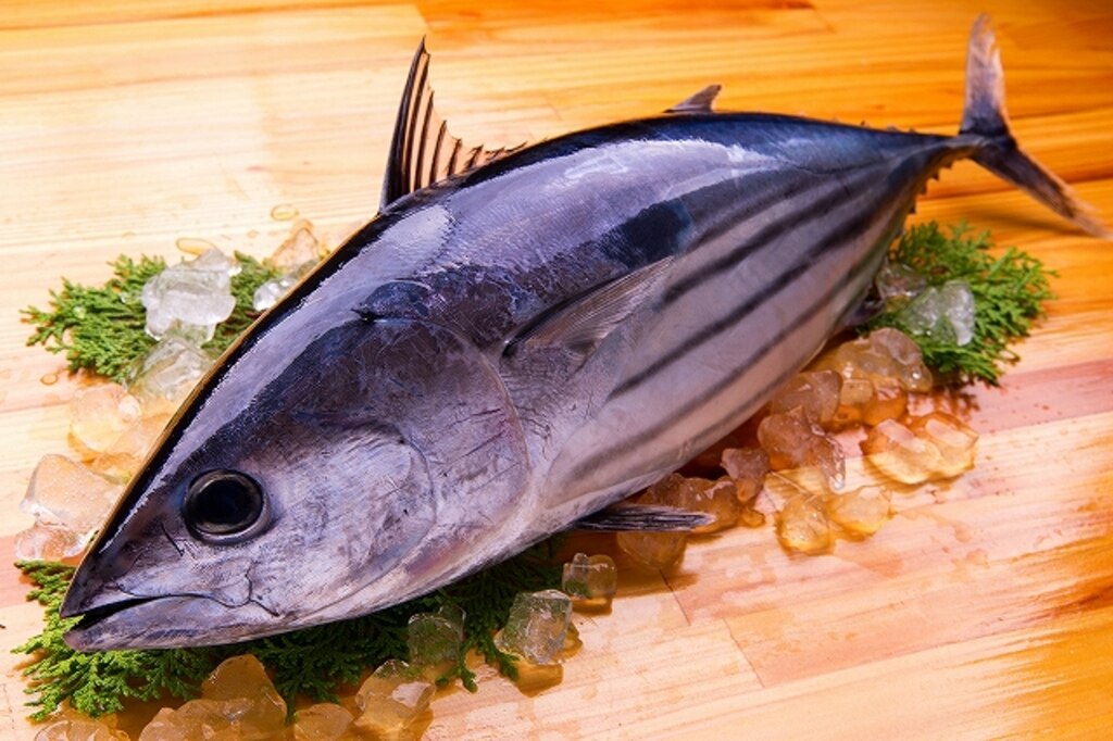 魚の知識 東京すしアカデミー