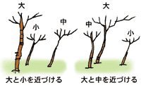 和風庭園の造り方 Diy Clip ー暮らしに創る喜びをー 和風庭園の造り方 Diy Clip ー暮らしに創る喜びをー