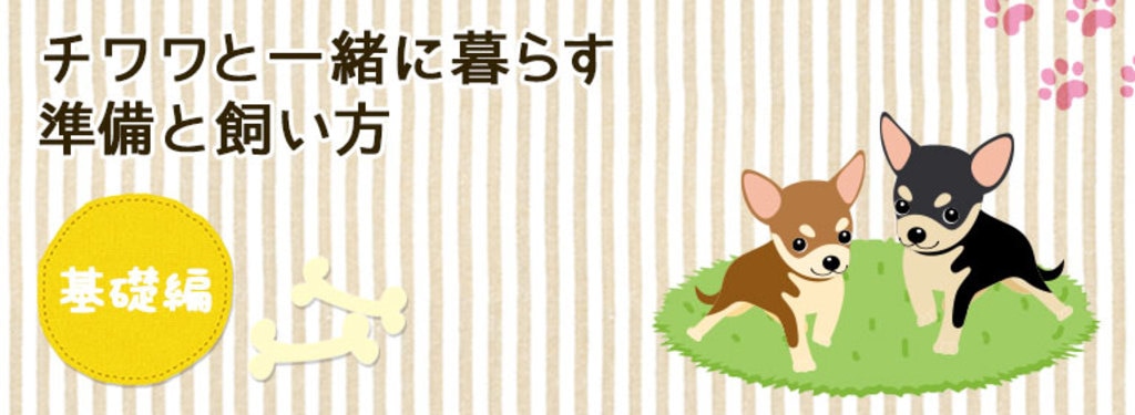 チワワと一緒に暮らす準備と飼い方 基礎編 Diy Clip ー暮らしに創る喜びをー チワワと一緒に暮らす準備と飼い方 基礎編 Diy Clip ー暮らしに創る喜びをー