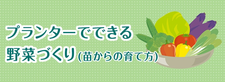 プランターでできる野菜づくり 苗からの育て方 Diy Clip ー暮らしに創る喜びをー