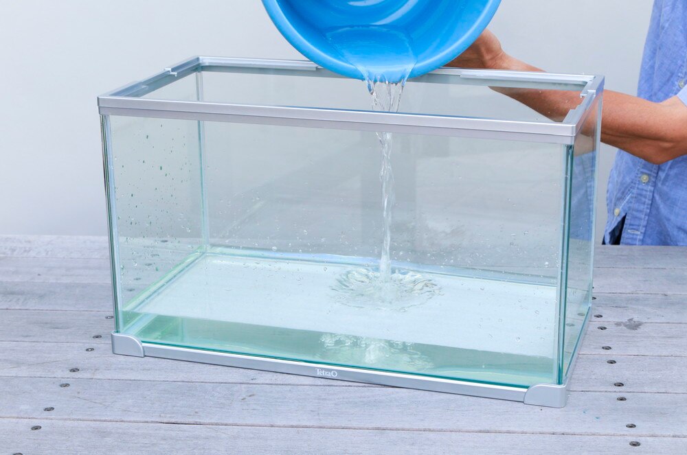 水槽を使ったペットの飼い方 Diy Clip ー暮らしに創る喜びをー 水槽を使ったペットの飼い方 Diy Clip ー暮らしに創る喜びをー