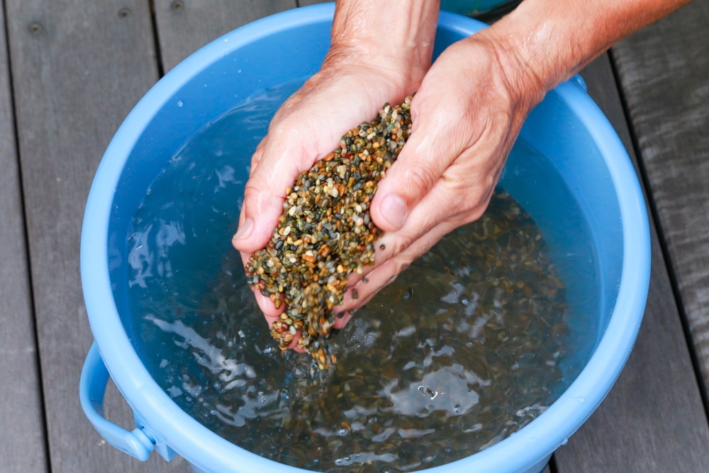 熱帯魚の飼い方 Diy Clip ー暮らしに創る喜びをー