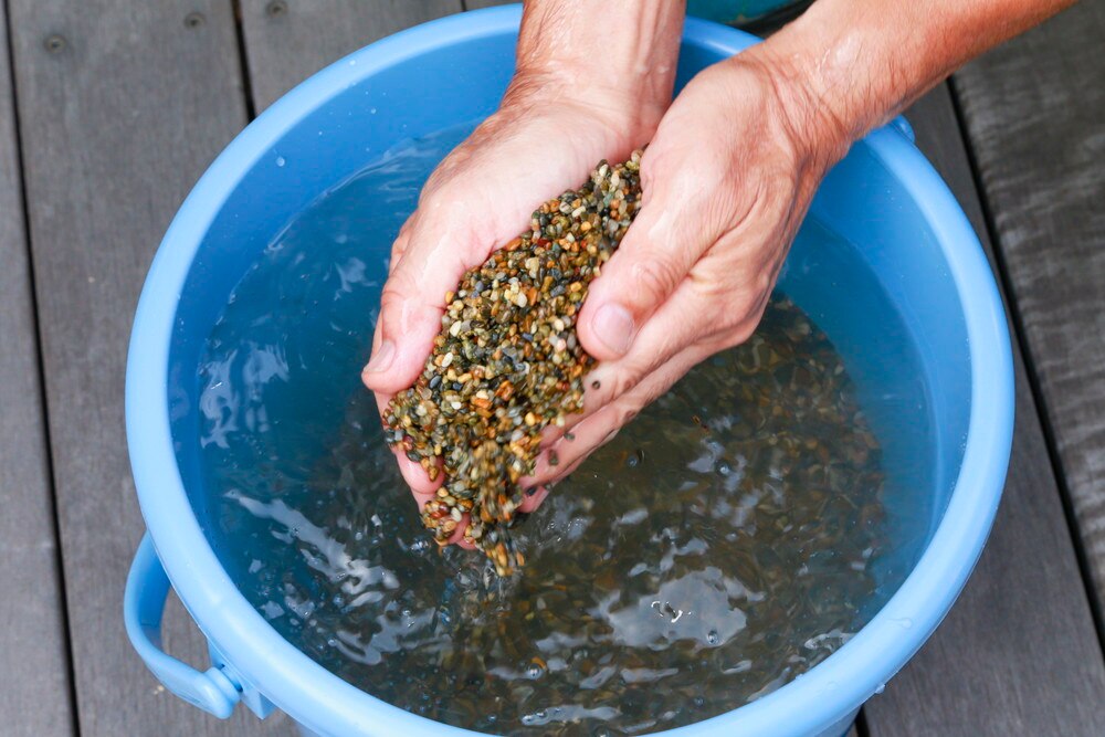 熱帯魚の飼い方 Diy Clip ー暮らしに創る喜びをー
