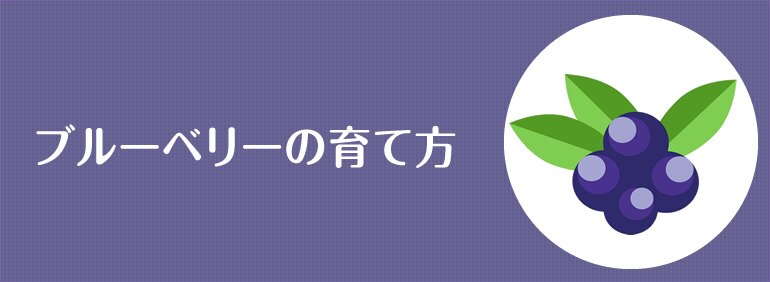 ブルーベリーの育て方 Diy Clip ー暮らしに創る喜びをー