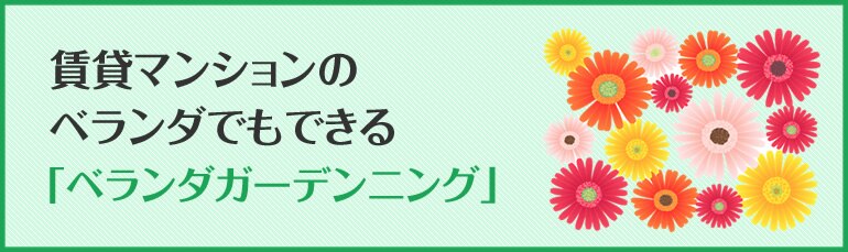 賃貸マンションでもできるベランダガーデニング Diy Clip ー暮らしに創る喜びをー 賃貸マンションでもできるベランダガーデニング Diy Clip ー暮らしに創る喜びをー