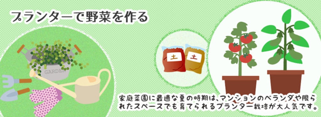 プランターで野菜を作る Diy Clip ー暮らしに創る喜びをー プランターで野菜を作る Diy Clip ー暮らしに創る喜びをー