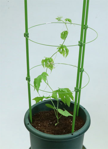 プランターで野菜を作る Diy Clip ー暮らしに創る喜びをー プランターで野菜を作る Diy Clip ー暮らしに創る喜びをー