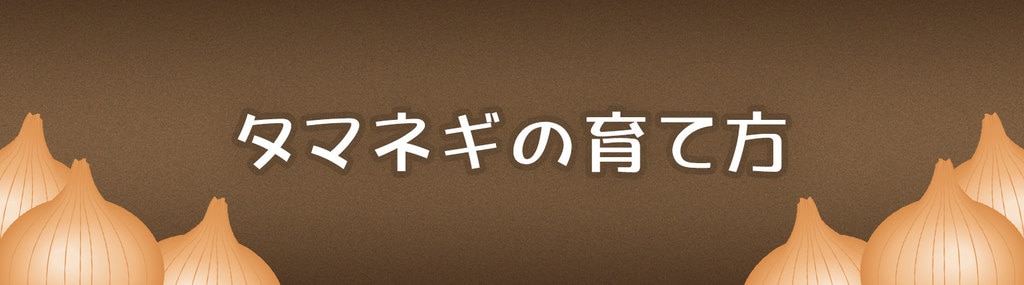 タマネギの育て方 Diy Clip ー暮らしに創る喜びをー タマネギの育て方 Diy Clip ー暮らしに創る喜びをー