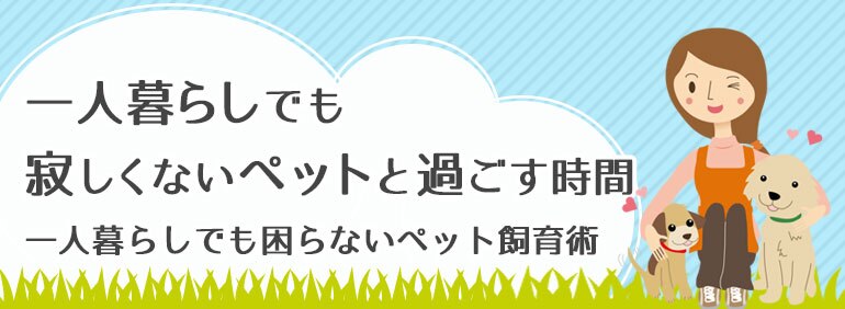 一人暮らしでも寂しくないペットと過ごす時間 Diy Clip ー暮らしに創る喜びをー 一人暮らしでも寂しくないペットと過ごす時間 Diy Clip ー暮らしに創る喜びをー