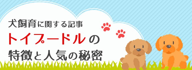 犬飼育に関する記事 トイプードルの特徴と人気の秘密 Diy Clip ー暮らしに創る喜びをー