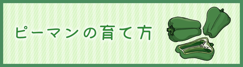 ピーマンの育て方 Diy Clip ー暮らしに創る喜びをー ピーマンの育て方 Diy Clip ー暮らしに創る喜びをー