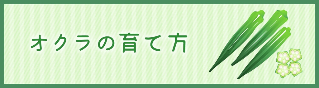 オクラの育て方 Diy Clip ー暮らしに創る喜びをー オクラの育て方 Diy Clip ー暮らしに創る喜びをー