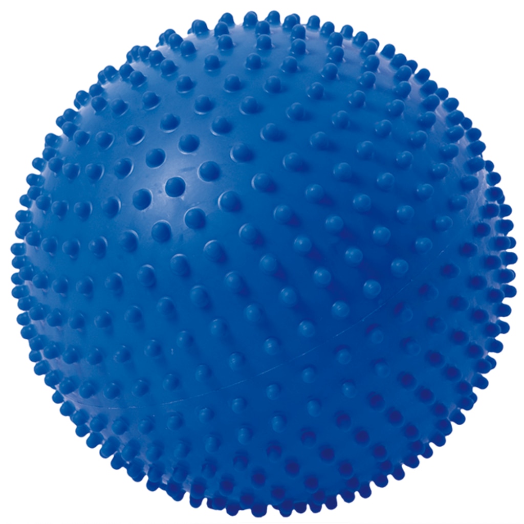 これまで使ってきたボールです タッチボール 10cm（ブルー）