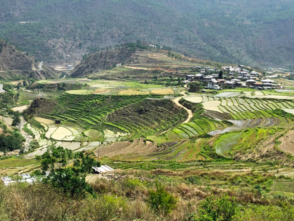 MIHARAS設置先：ブータン王国 農村・農業開発支援
