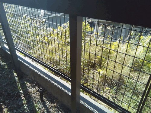 初心者でも出来ました Diyで庭前に自作目隠しフェンスの設置 Diy Clip ー暮らしに創る喜びをー 初心者でも出来ました Diyで庭前に自作目隠しフェンスの設置 Diy Clip ー暮らしに創る喜びをー