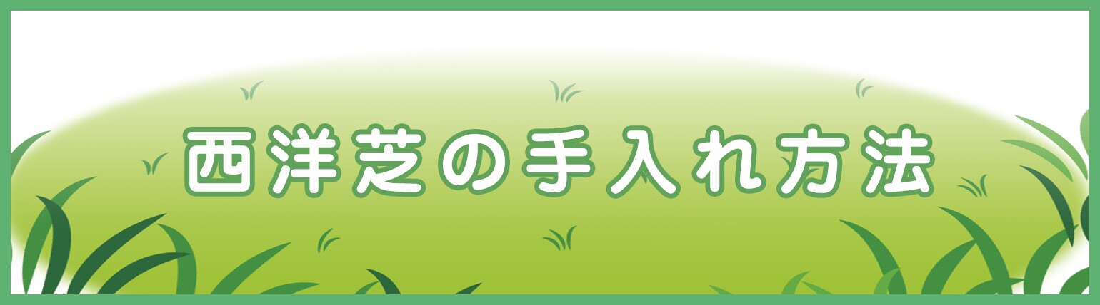 西洋芝の手入れ方法 Diy Clip ー暮らしに創る喜びをー
