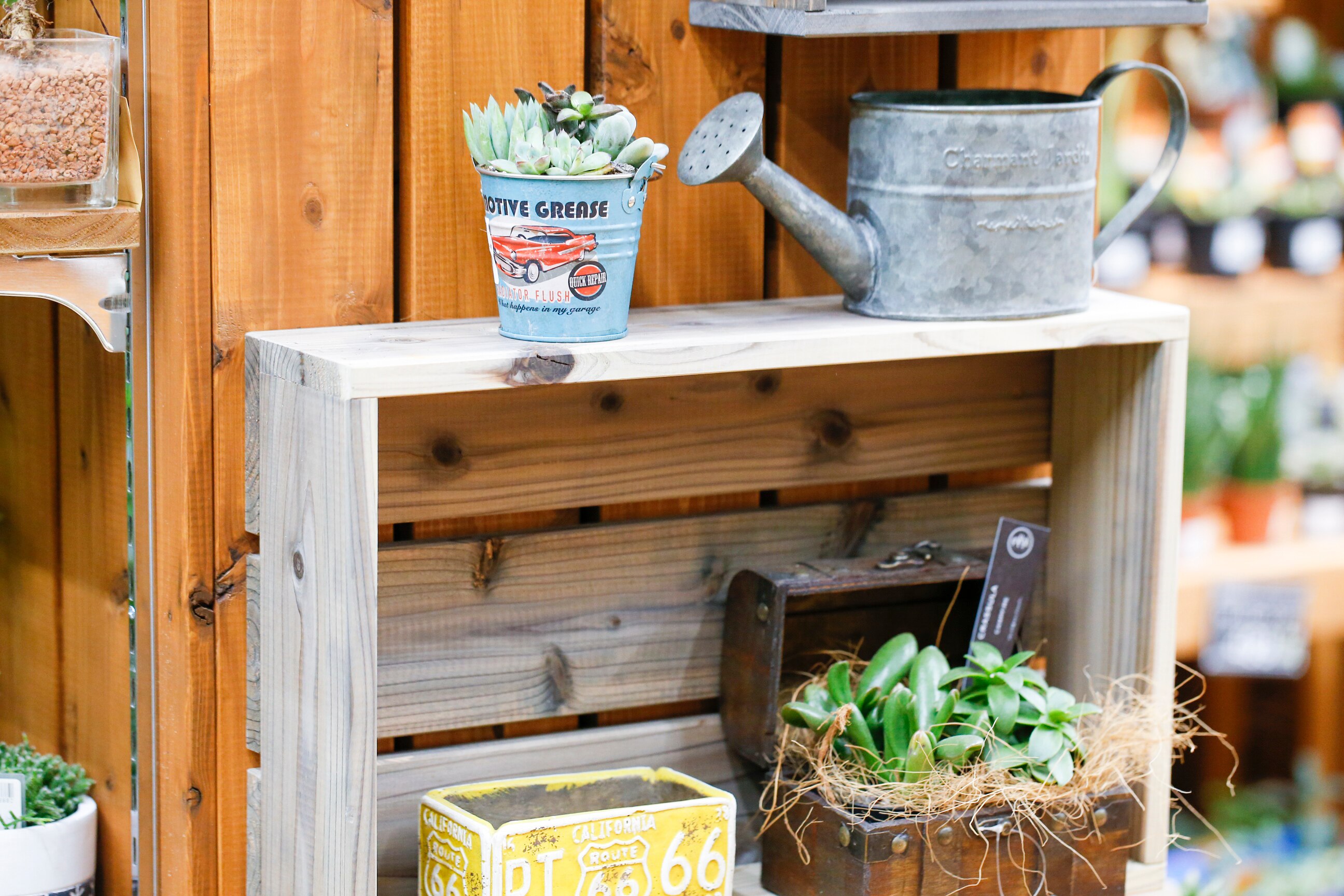 多肉植物の種類 育て方 Diy Clip ー暮らしに創る喜びをー