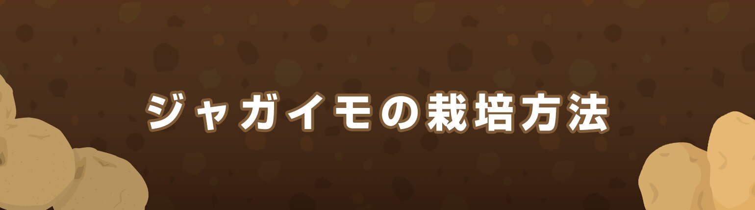 ジャガイモの栽培方法 Diy Clip ー暮らしに創る喜びをー
