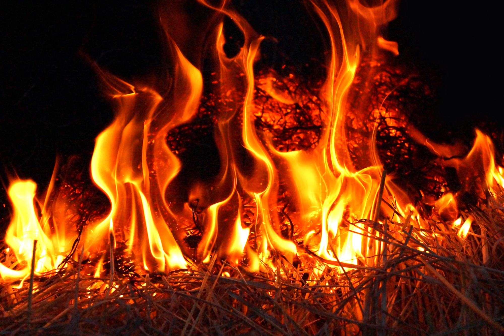 乾燥すると火事が発生しやすい 湿度確認に役立つapiがあります ソケラボ