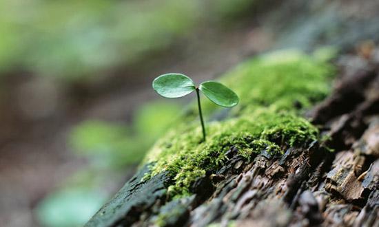 環境理念・環境方針