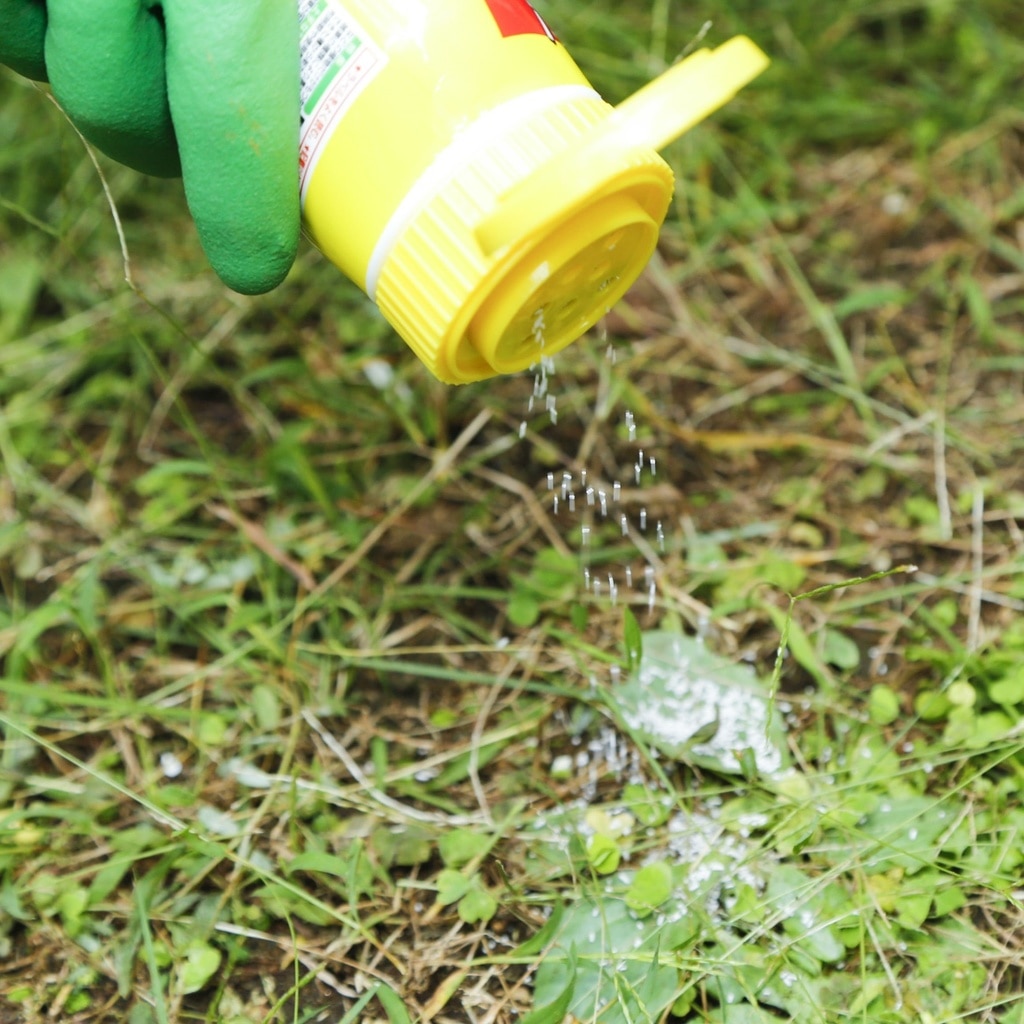 除草剤の効果 種類 使用方法について Diy Clip ー暮らしに創る喜びをー