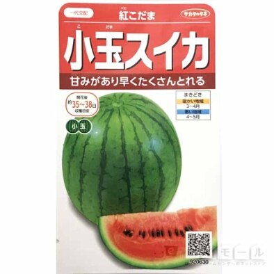 スイカの栽培 育て方のポイント Diy Clip ー暮らしに創る喜びをー スイカの栽培 育て方のポイント Diy Clip ー暮らしに創る喜びをー