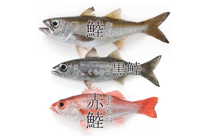 赤ムツ のどぐろ は塩焼きに 黒ムツは鍋が美味しい 脂のりの良い魚 東京すしアカデミー 寿司職人養成学校
