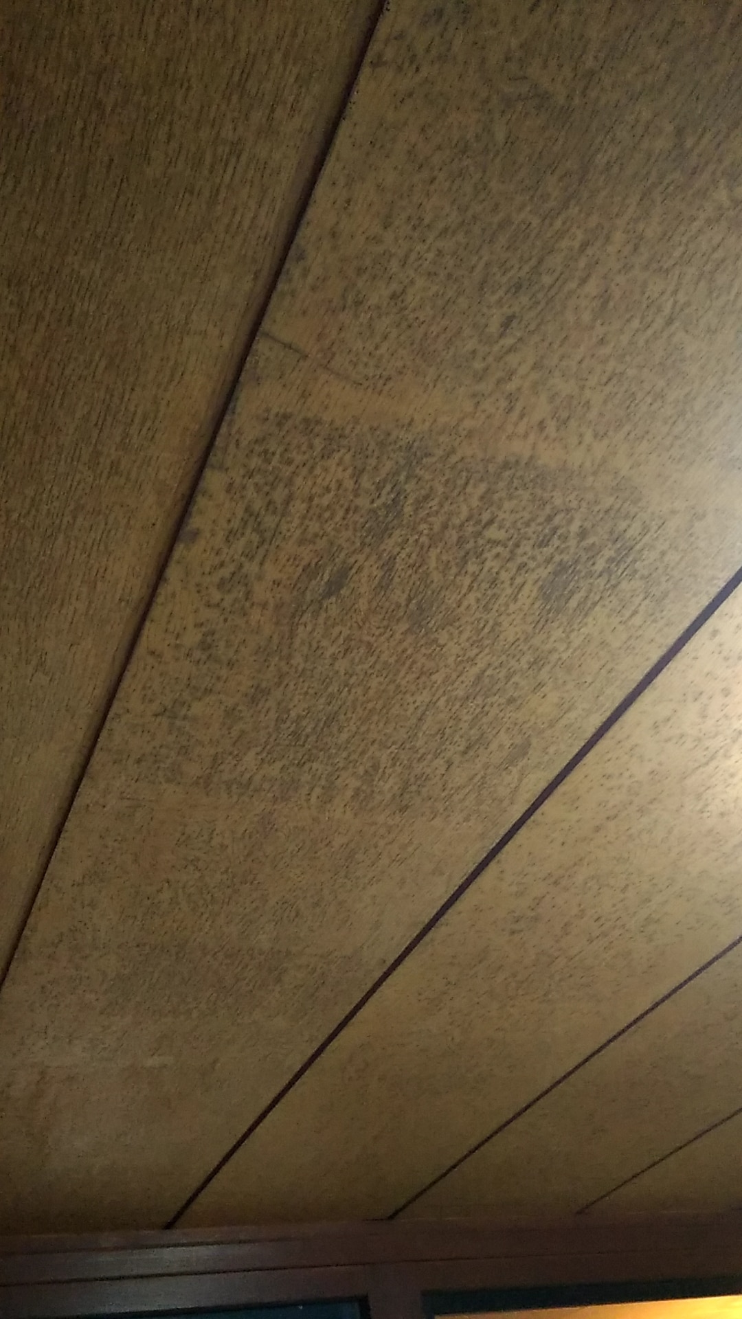 築50年超え 古い家のシミだらけ天井をペンキ塗り Diy Clip ー暮らしに創る喜びをー