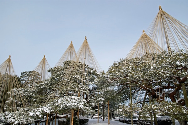 雪吊り 雪囲いで大切な木や枝を守ろう グローバルホームセンター ジョイフルエーケー