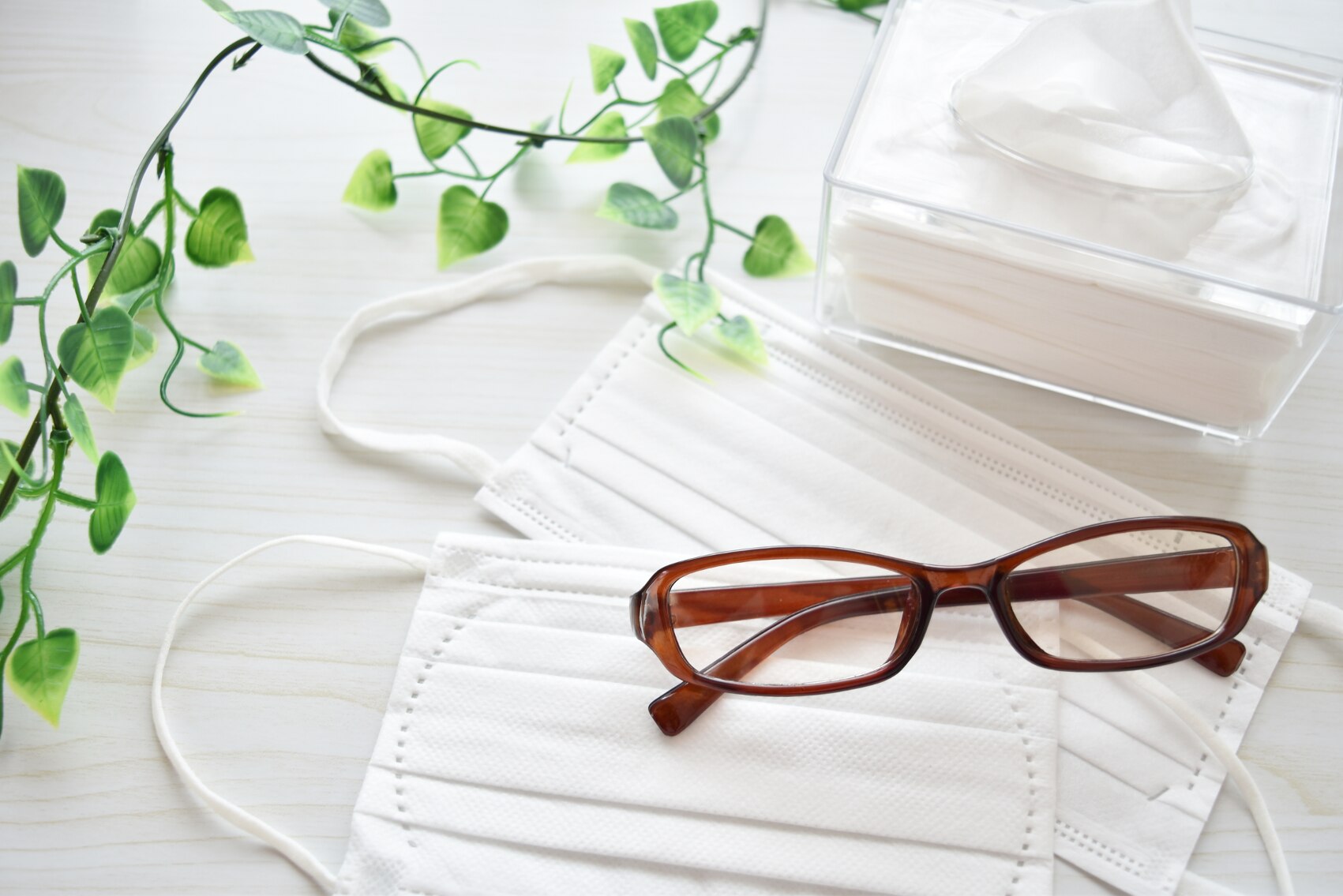 トドマツ精油と花粉症 フレーバーライフアロマテラピースクール