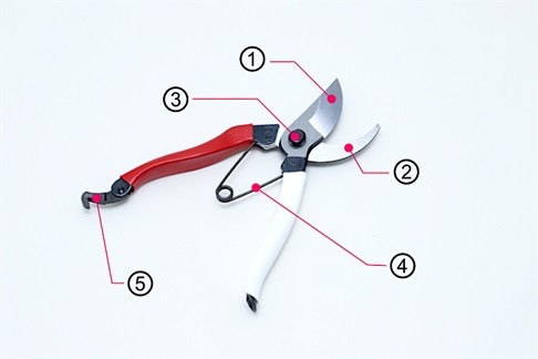 庭木のお手入れに欠かせない 剪定ばさみの種類と選び方
