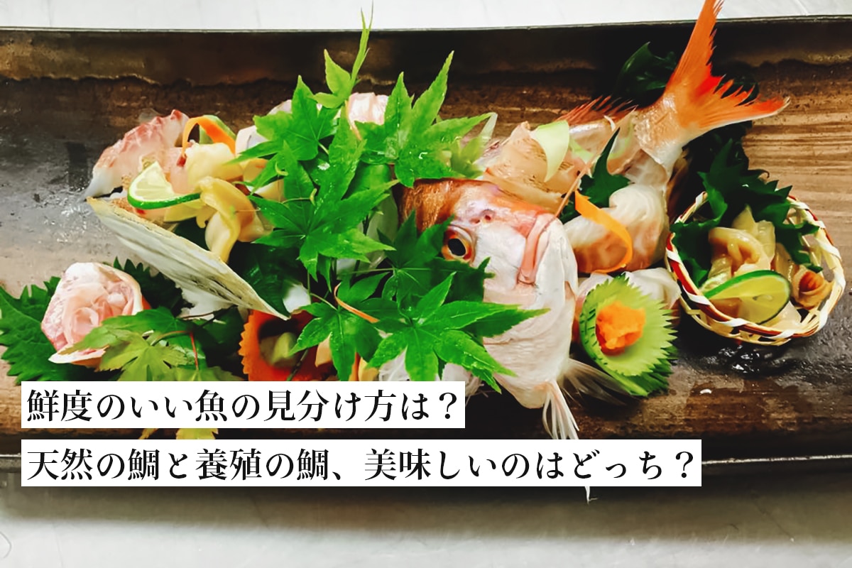 知っていますか 鮮度のいい魚の見分け方 東京すしアカデミー 寿司職人養成学校