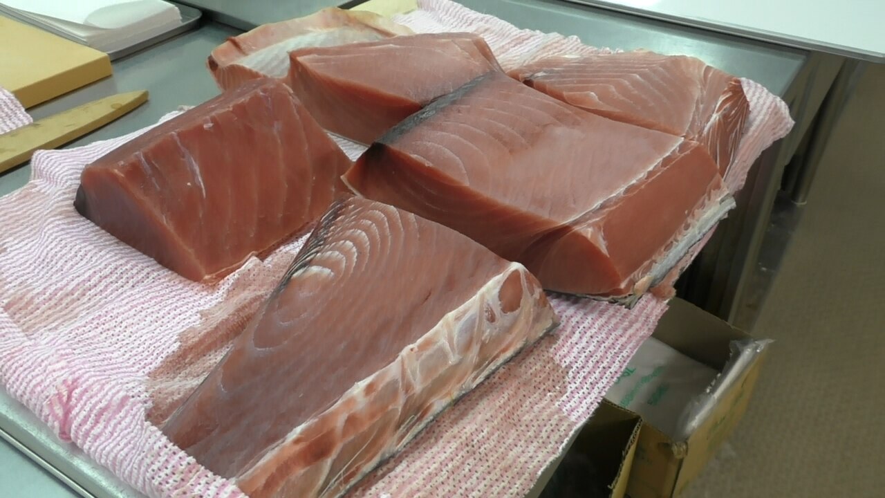 マグロブロックのおろし方