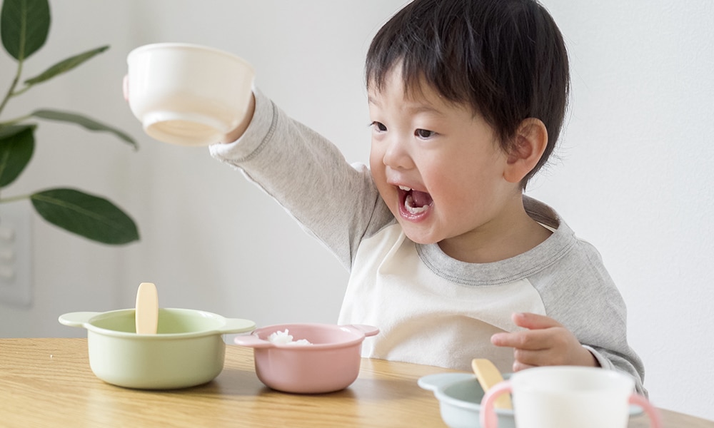 「雪印メグミルク たっち」 「ぴゅあ＆たっち」雪印メグミルクの粉ミルク