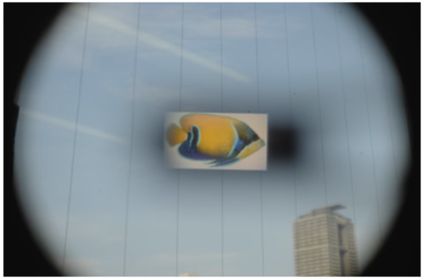 図2a  青空を背景とした画像縦線は窓ガラス中のワイヤ