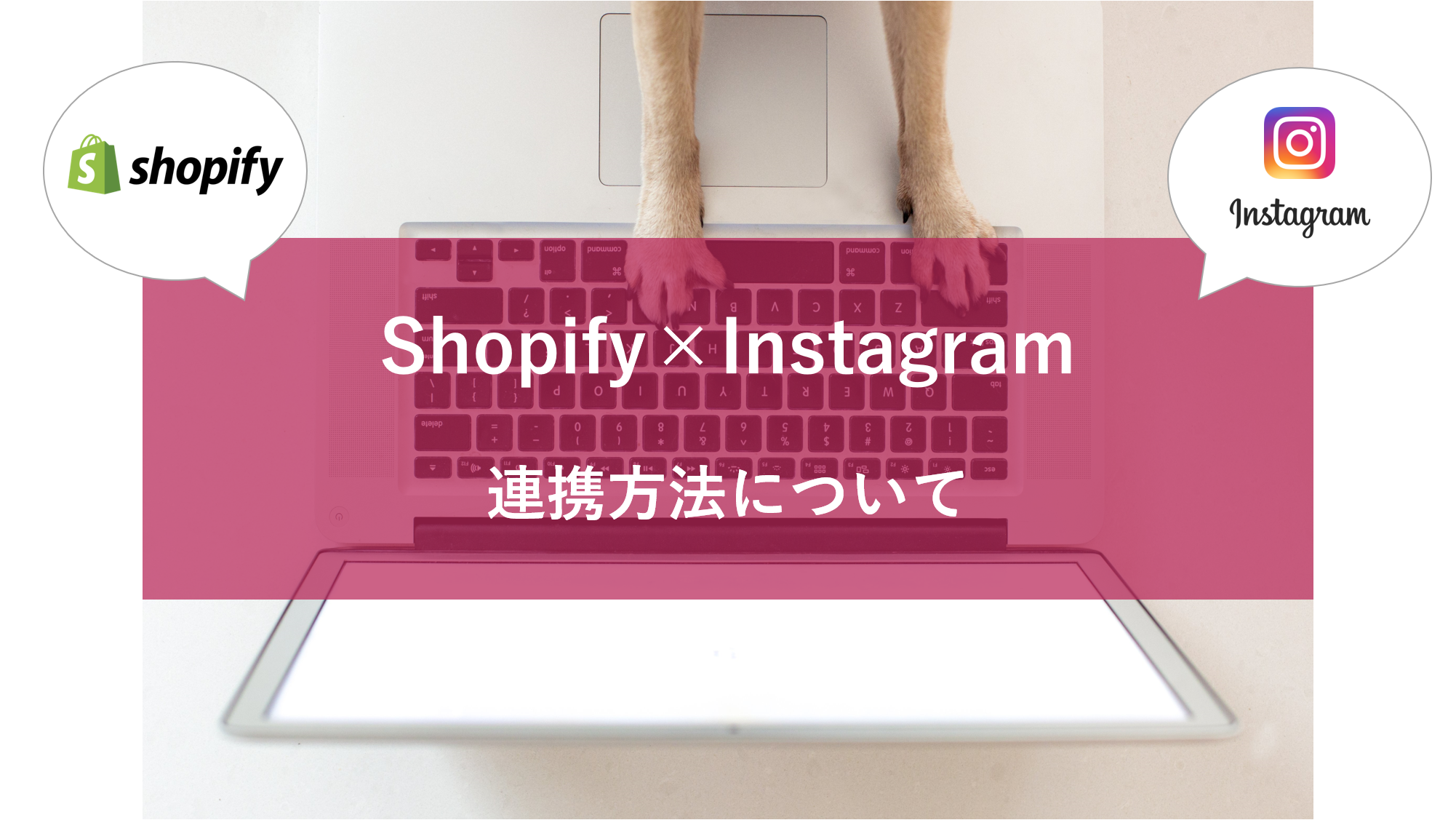 インスタグラムでShopifyの商品を販売する方法