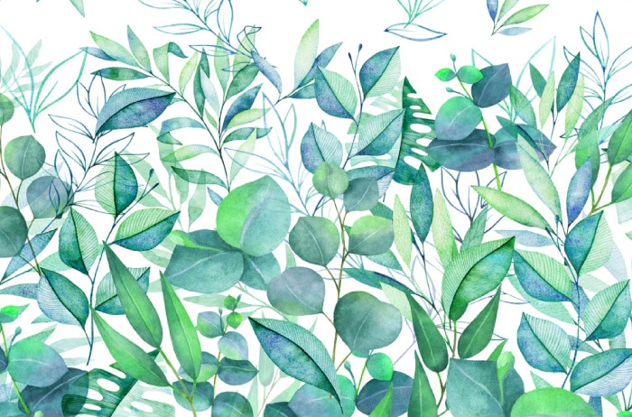 水彩ボタニカル　イラスト