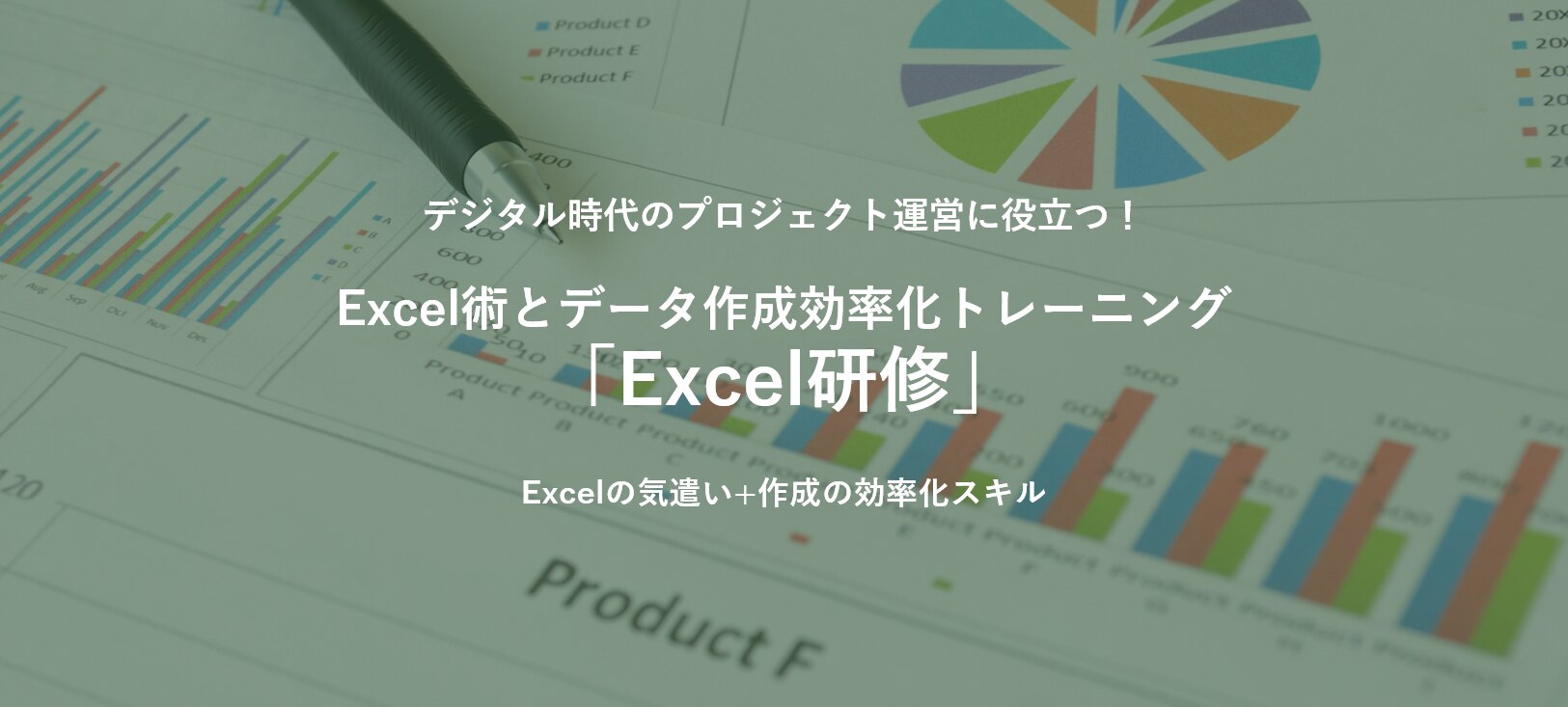 Excel術とデータ作成効率化トレーニング Excel研修