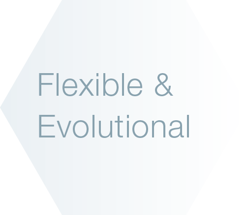 Flexible&Evolutional