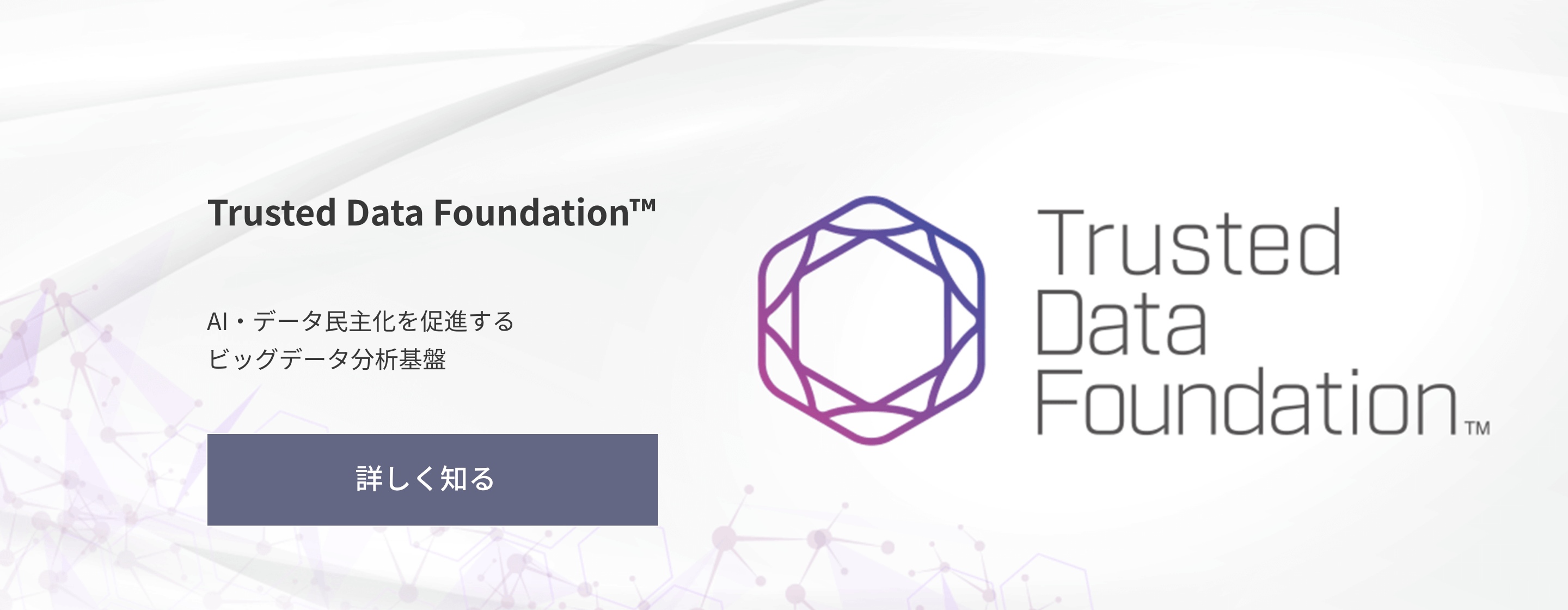 Trusted Data Foundation™
