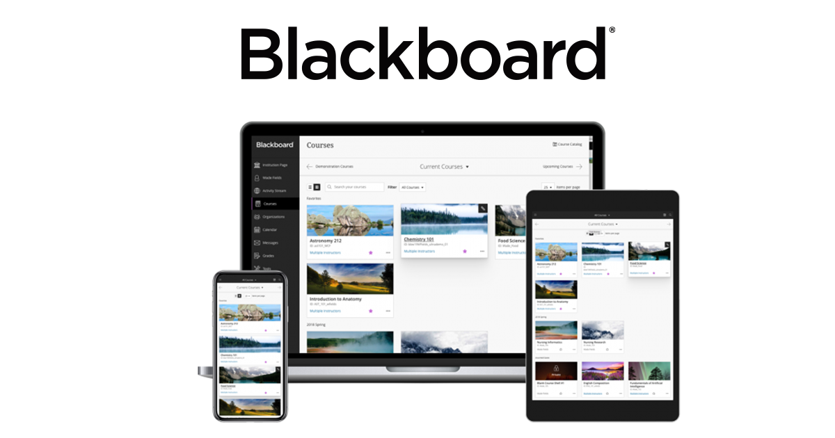 Blackboard Learn 教育者目線で開発された次世代lms アシストマイクロ株式会社