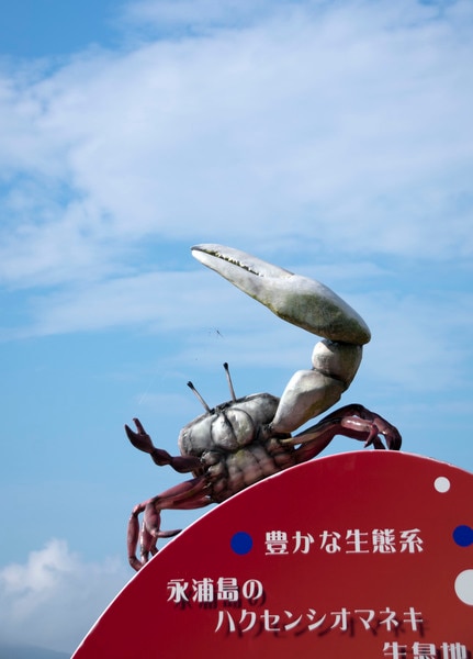 永浦島ハクセンシオマネキの手招き恋ダンス