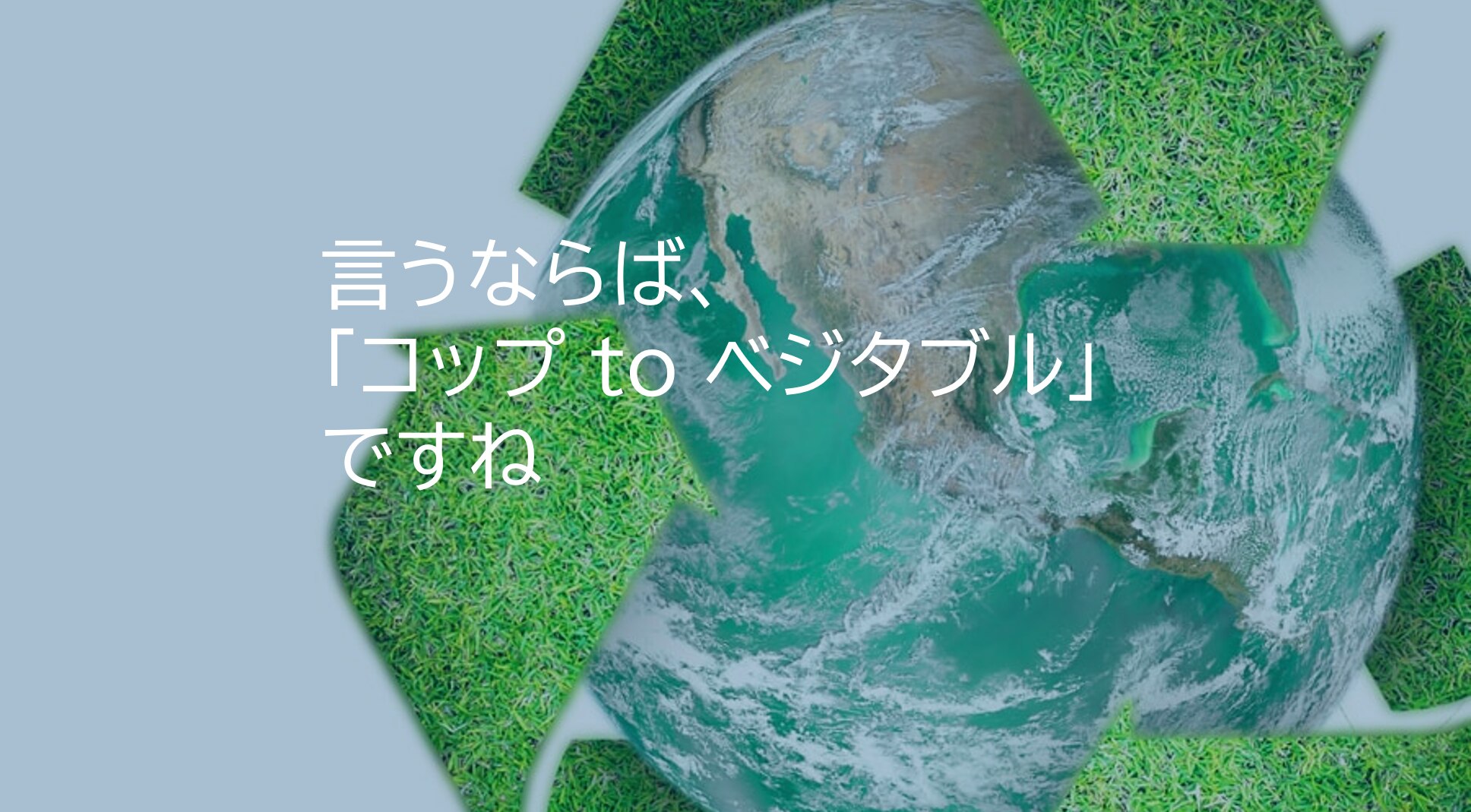 catch-img