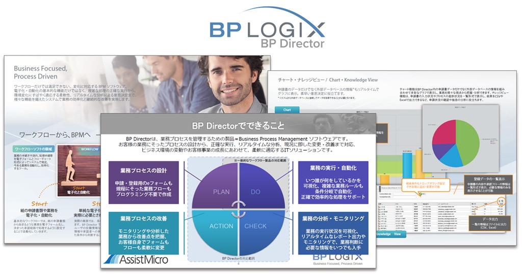 BP Director catalog