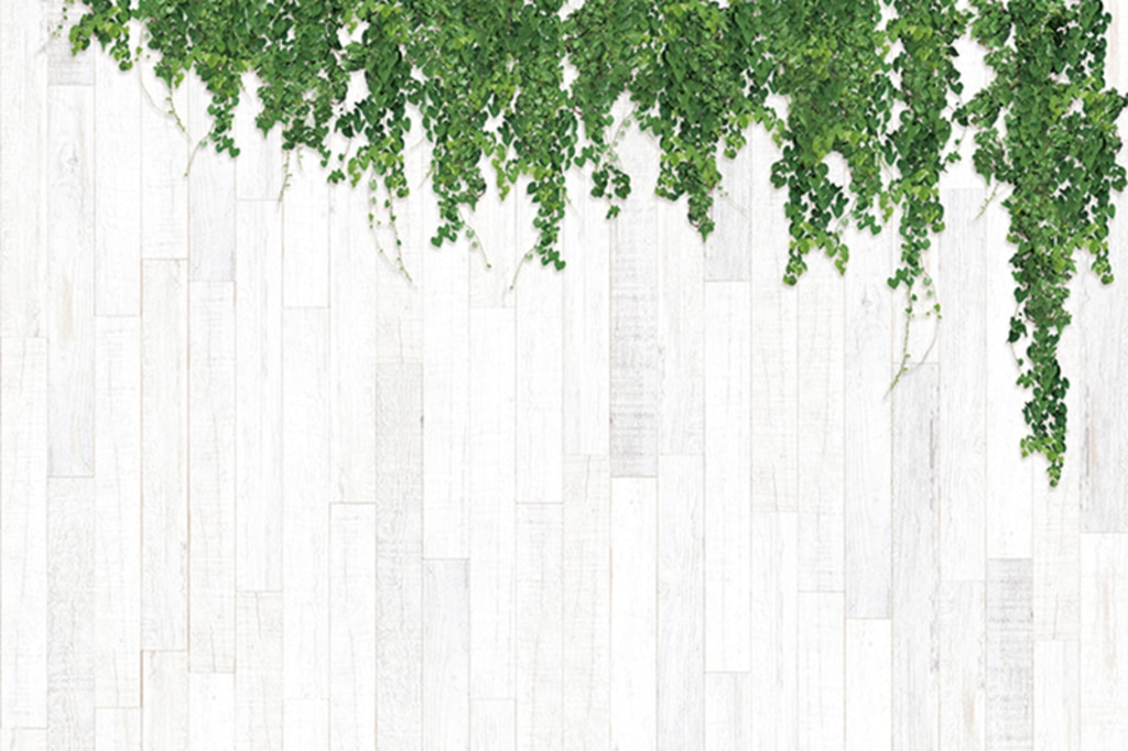 KOMICHI シャビーシックなグリーン+木目のリアル壁紙